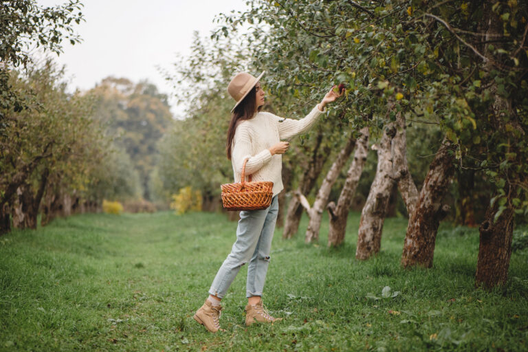 15 Things to Do at the Start of September for a Fresh Start